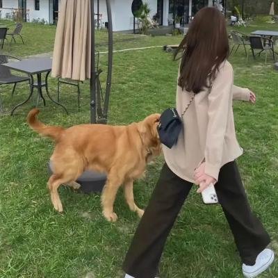 岳父受死吧