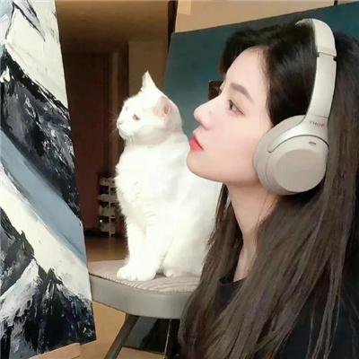 完美的旋律